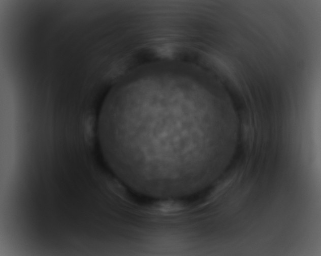 X0000095680275200801081235