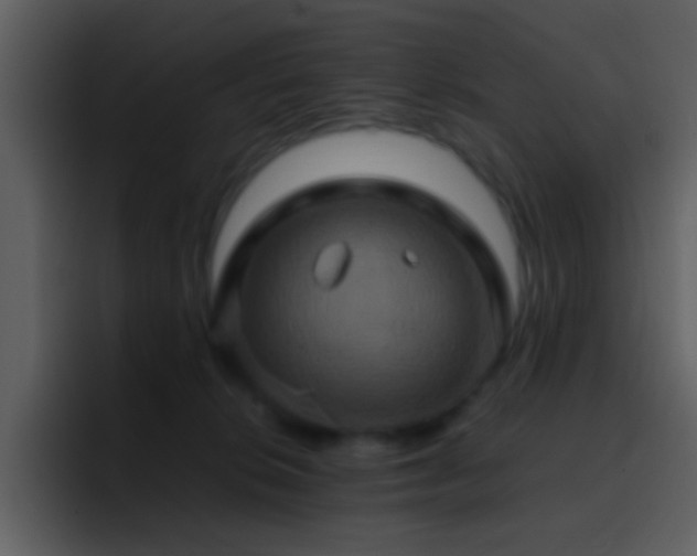 X0000095680276200801081235