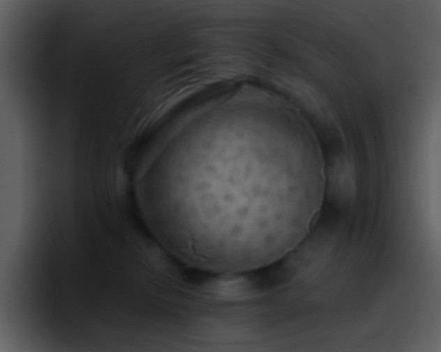 X0000095680278200801081235