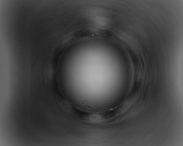 X0000095680279200801081235