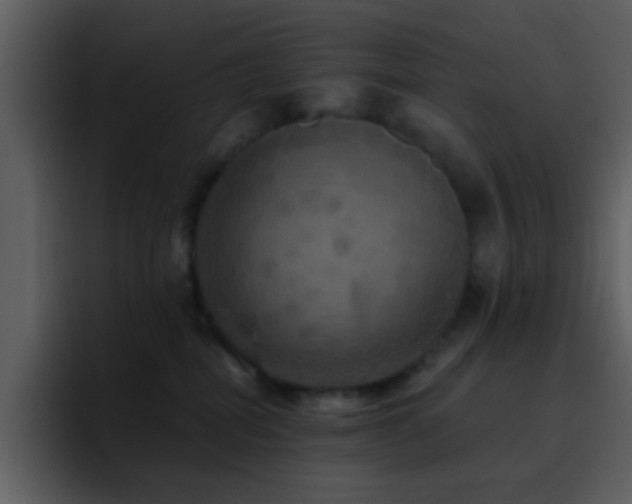 X0000095680282200801081235