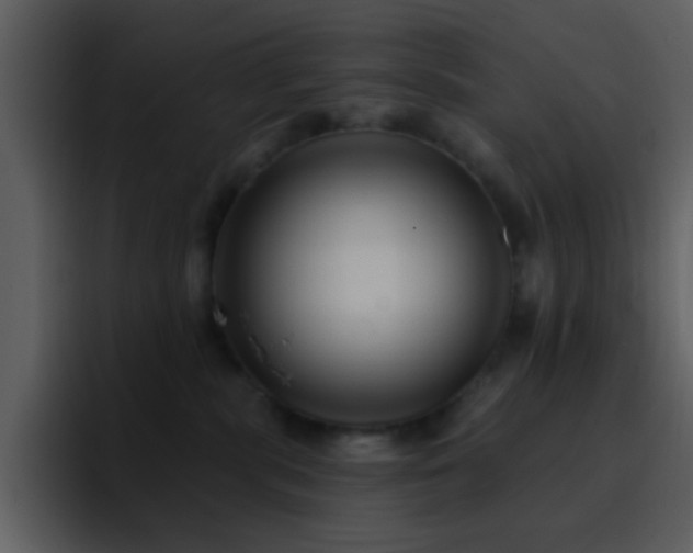X0000095680283200801081235