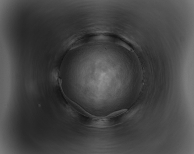 X0000095680288200801081235