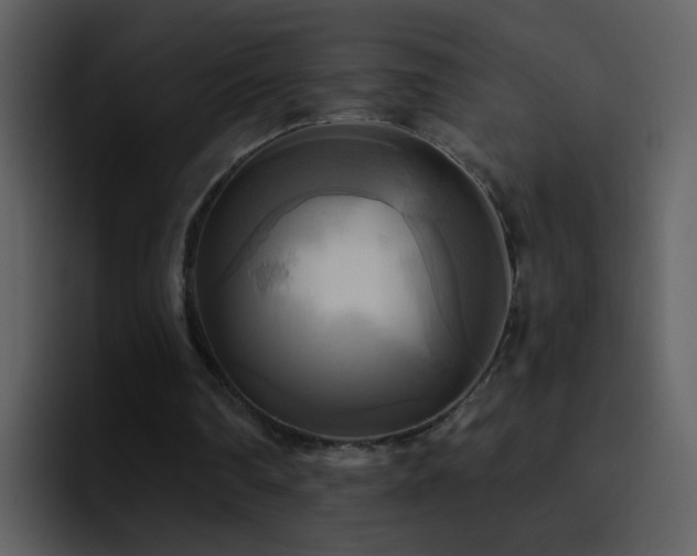 X0000095680290200801081234