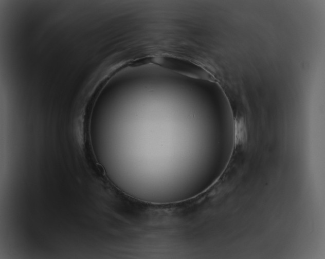 X0000095680291200801081234