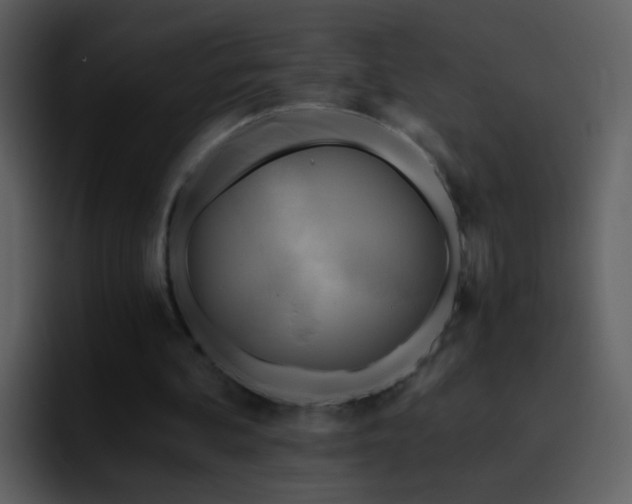 X0000095680292200801081234
