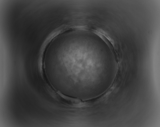 X0000095680293200801081234