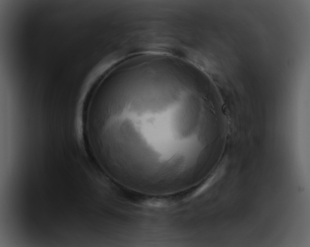 X0000095680294200801081234