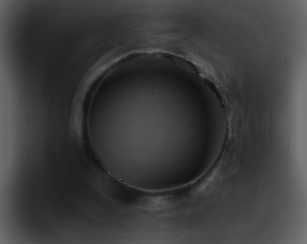 X0000095680295200801081234