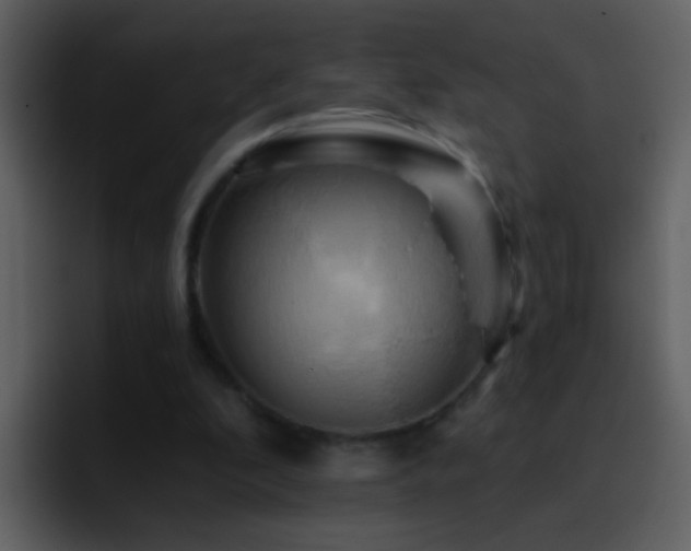 X0000095680296200801081234