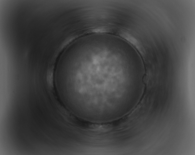 X0000095680297200801081234