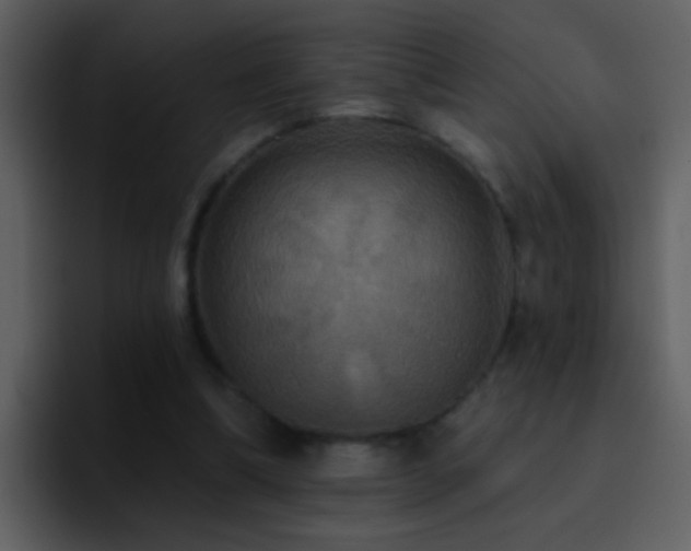X0000095680298200801081234