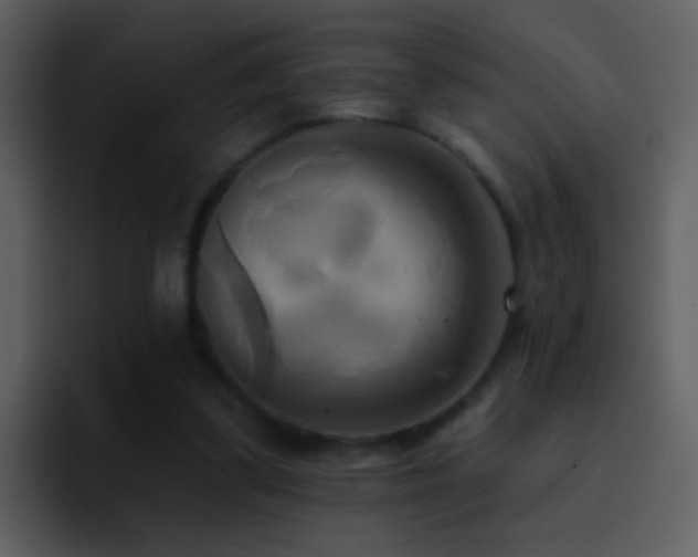 X0000095680299200801081234
