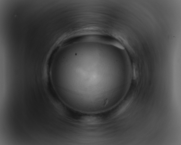 X0000095680300200801081234