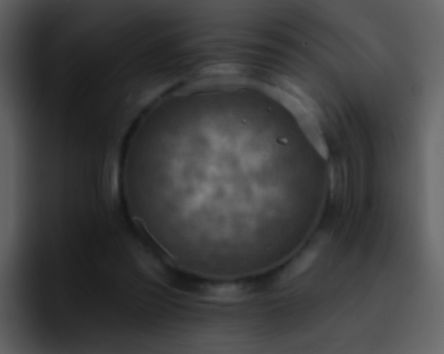X0000095680301200801081234