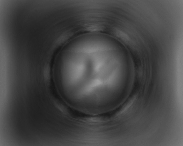 X0000095680303200801081234