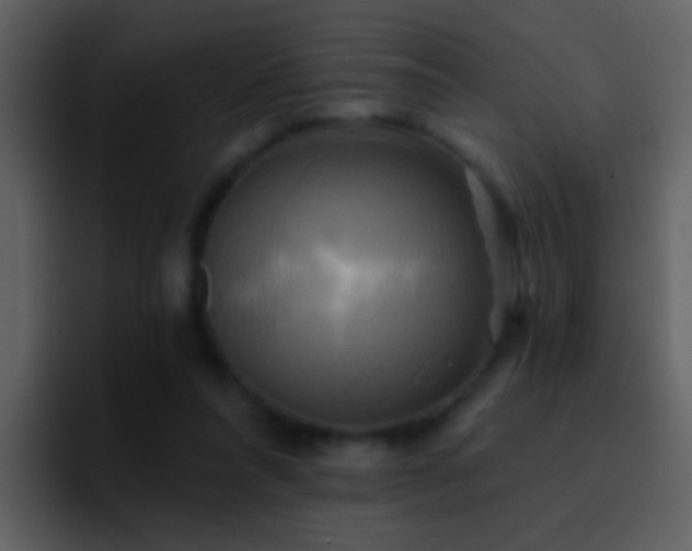 X0000095680304200801081234