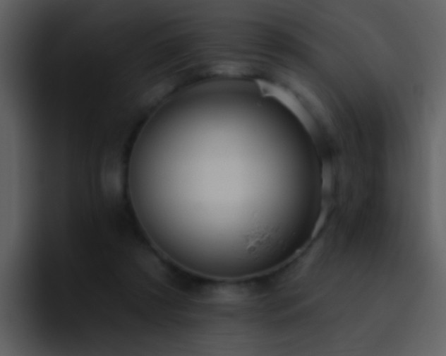 X0000095680305200801081234