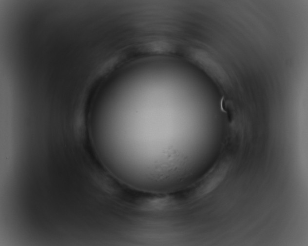 X0000095680306200801081234