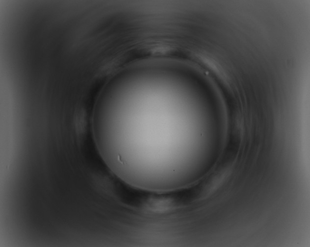 X0000095680311200801081234
