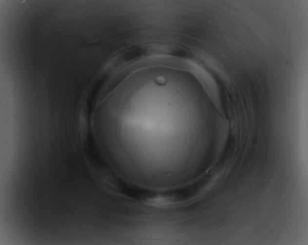 X0000095680312200801081234