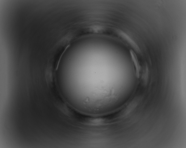 X0000095680313200801081234