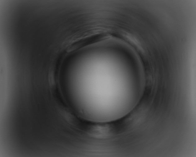 X0000095680317200801081234