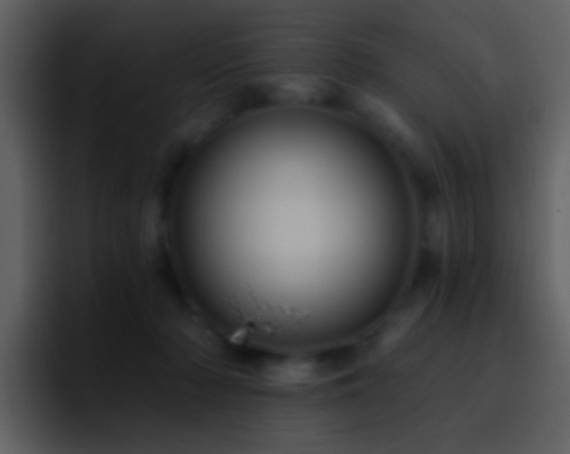 X0000095680318200801081234