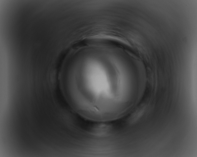 X0000095680319200801081234