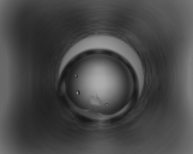 X0000095680320200801081234