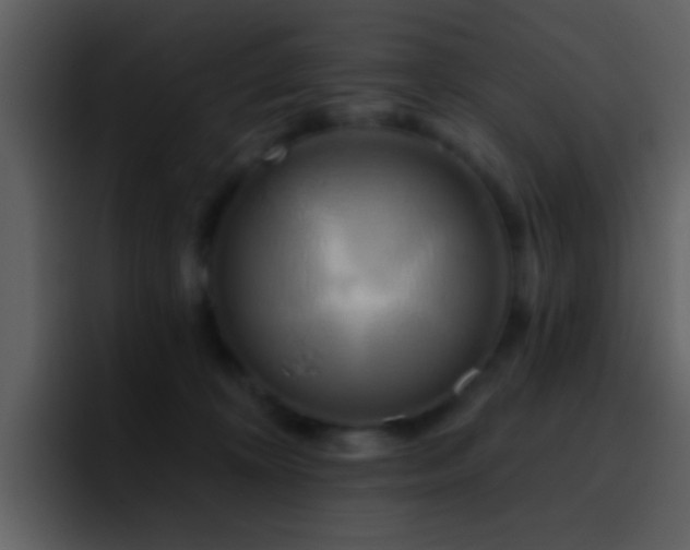 X0000095680324200801081234