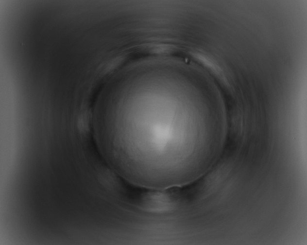 X0000095680325200801081234