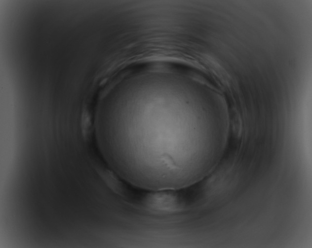 X0000095680327200801081234