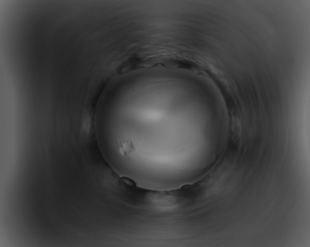 X0000095680331200801081234