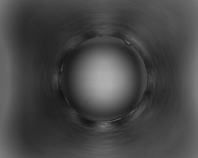 X0000095680333200801081234