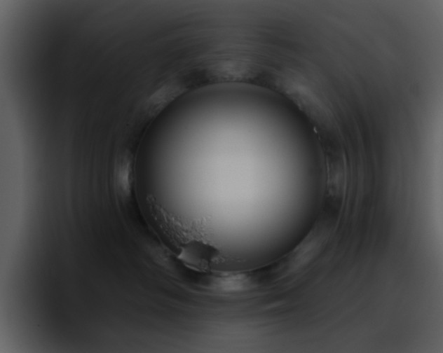 X0000095680334200801081234