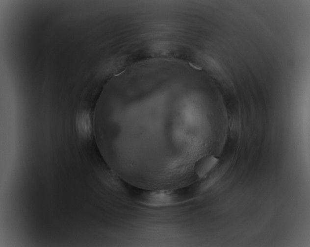 X0000095680335200801081234