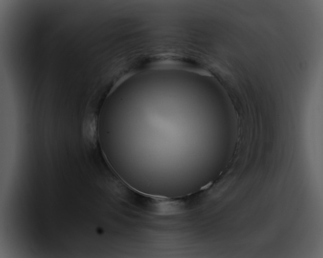 X0000095680336200801081234