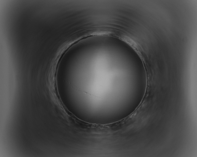 X0000095680337200801081233