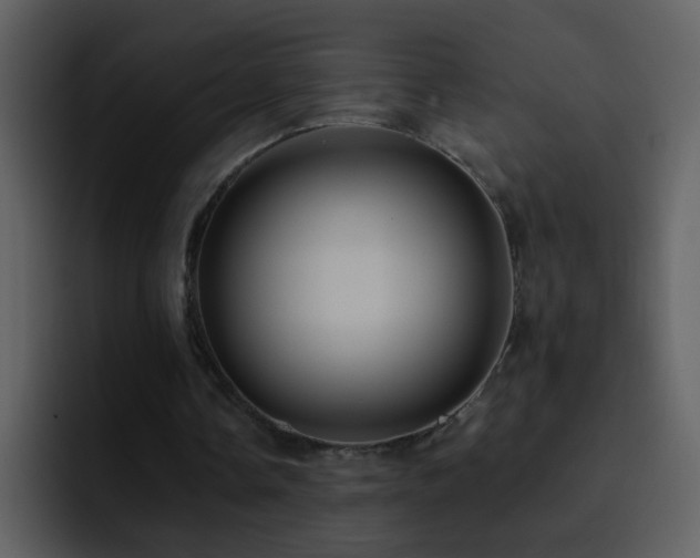 X0000095680338200801081233