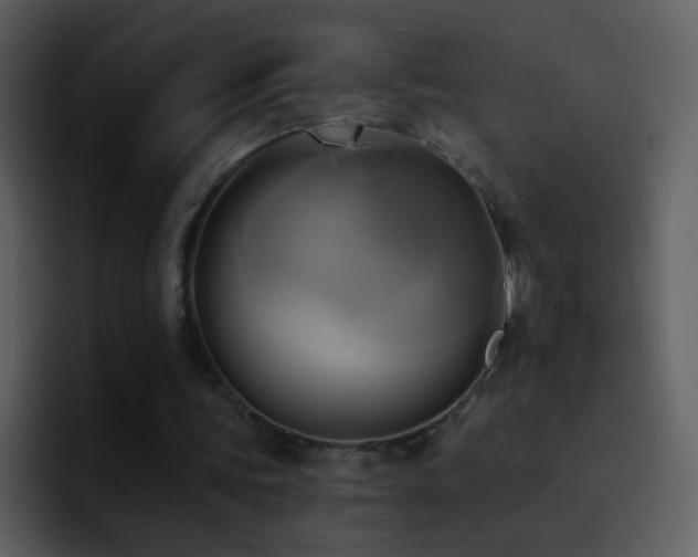 X0000095680339200801081233