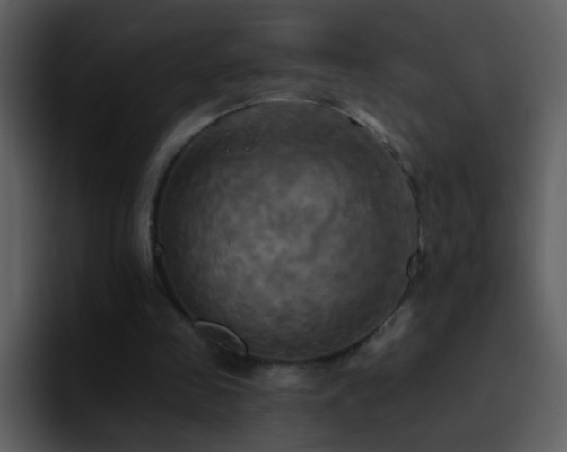 X0000095680341200801081233