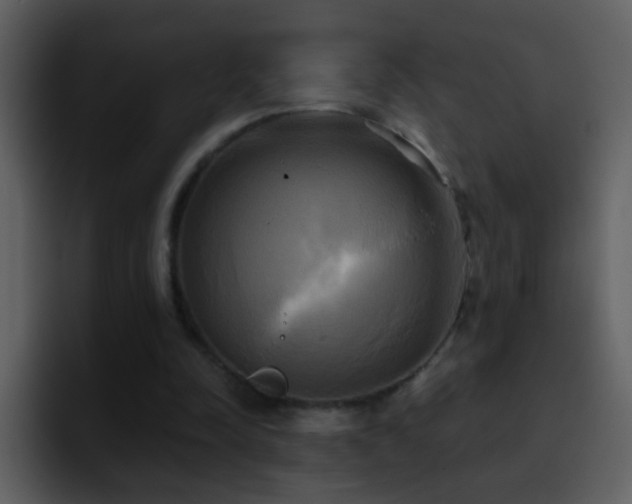 X0000095680342200801081233
