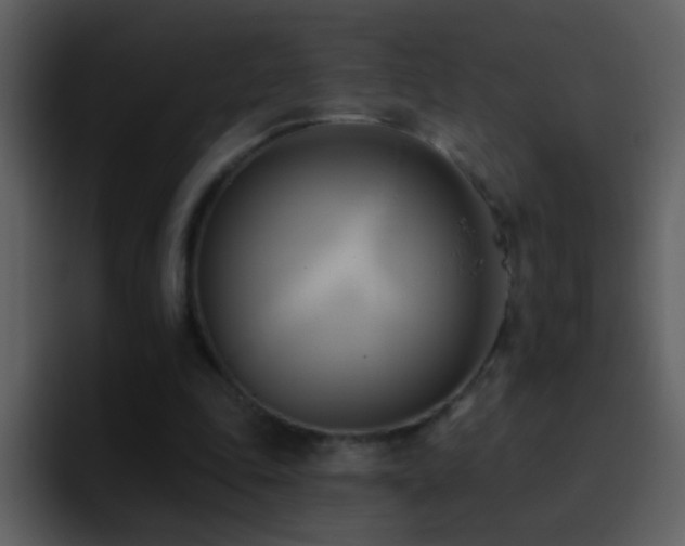 X0000095680343200801081233