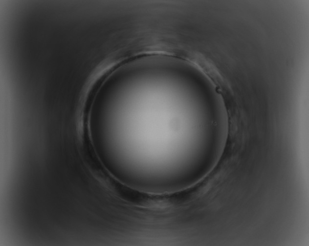 X0000095680344200801081233