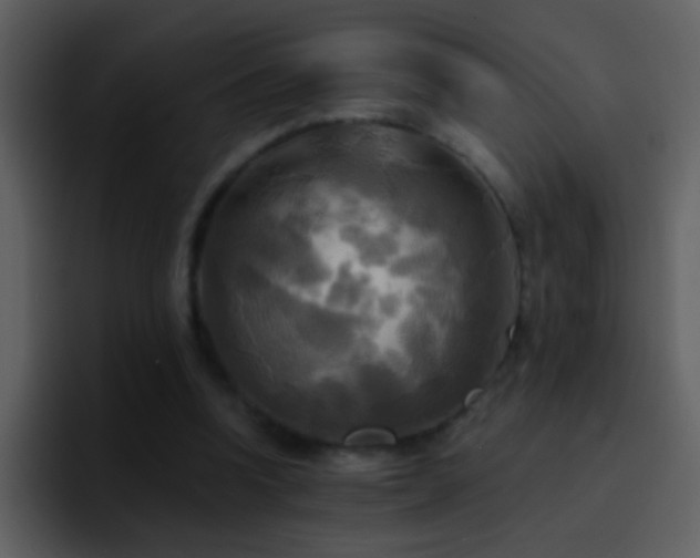 X0000095680346200801081233