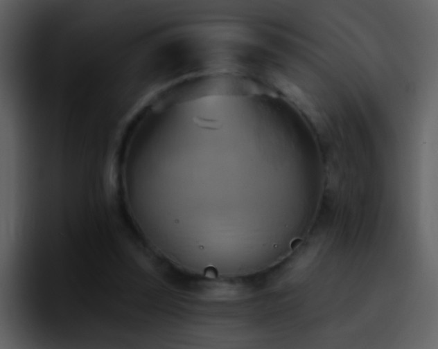 X0000095680347200801081233