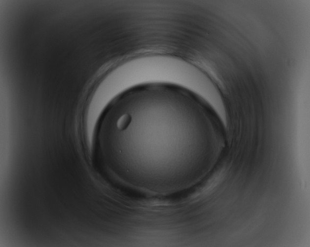X0000095680348200801081233