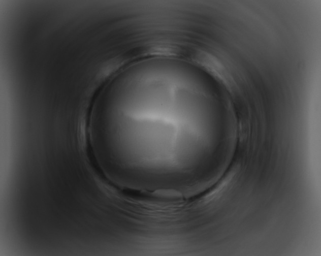 X0000095680349200801081233