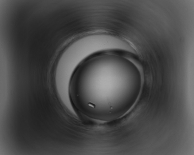 X0000095680350200801081233